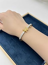 KE006 MODEL KELEPÇE